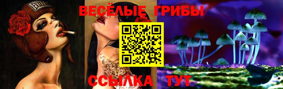 наркотики  Вход с VPN  Галлюциногенные грибы мицелий  Кудрово  Псилоцибиновые грибы Psilocybe 